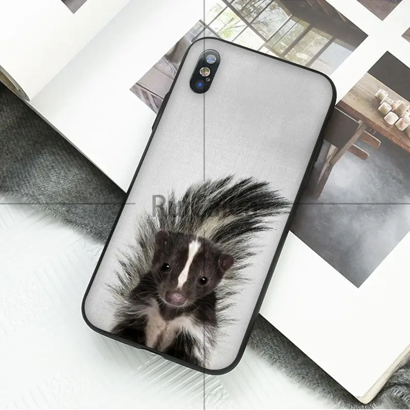 Animal dog cat tiger penguin baby
