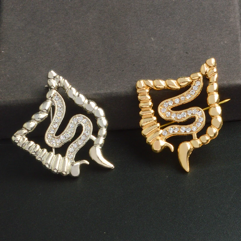 

Gold Silver Bowels Metal Brooch Pin Zircon Medical Organ Jewelry Gastroenterology Medicine Brooch Gift for Doctor Nurse Students