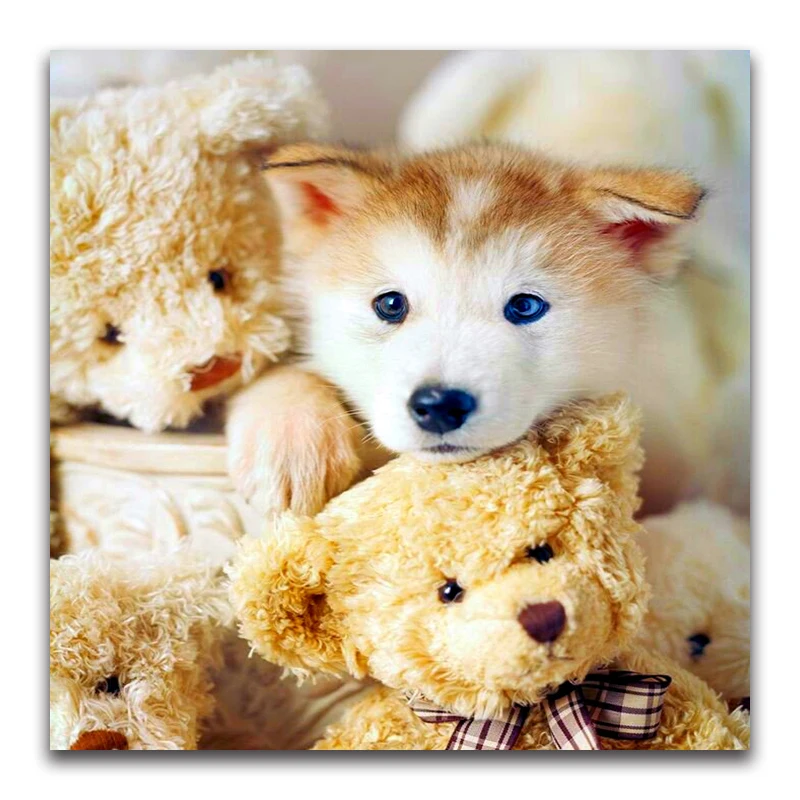 white Husky DIY Diamond embroidery dog full square Diamond mosaic cute puppy Full round Diamond painting Cross stitch toys Bear