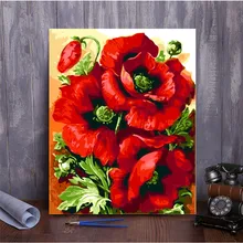 Safflower DIY картина по номерам ручная роспись маслом на холсте для гостиной офиса домашний Декор подарок 806