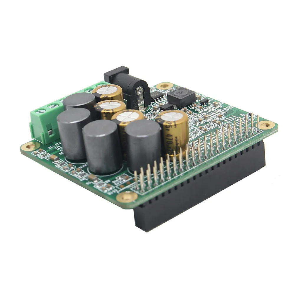 LEORY For Raspberry Pi Audio Module HIFI AMP Expansion Board 25W 12-20V For Raspberry Pi 3 Model B / Pi