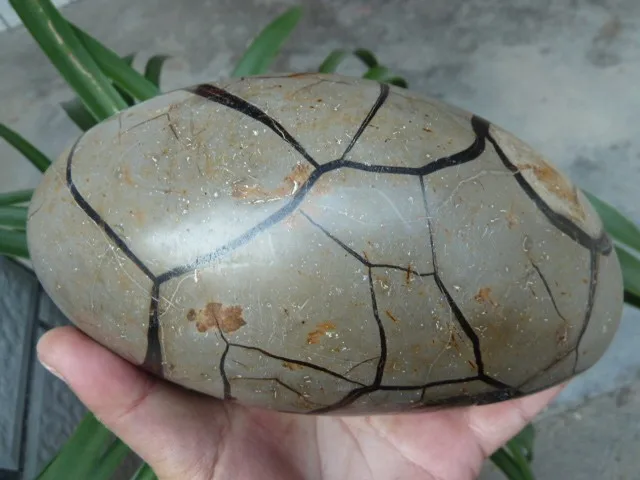 P1040244