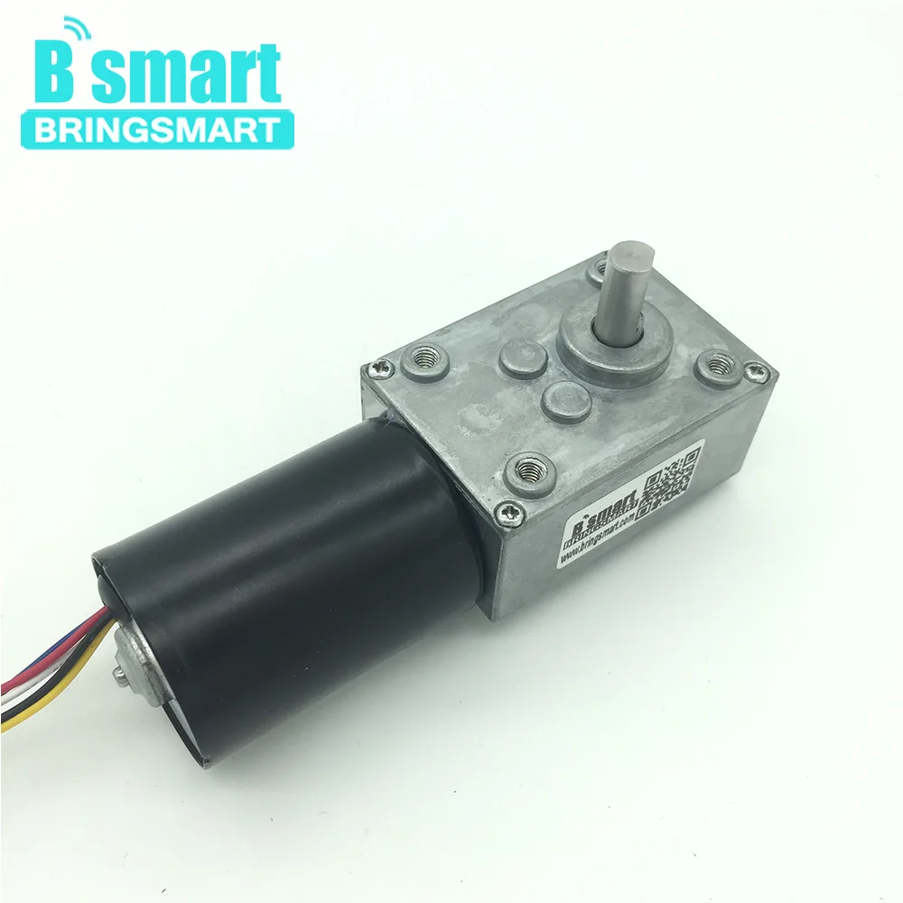 Bringsmart Brushless 12V 24V Worm Gearbox DC Motor Reversible Mini