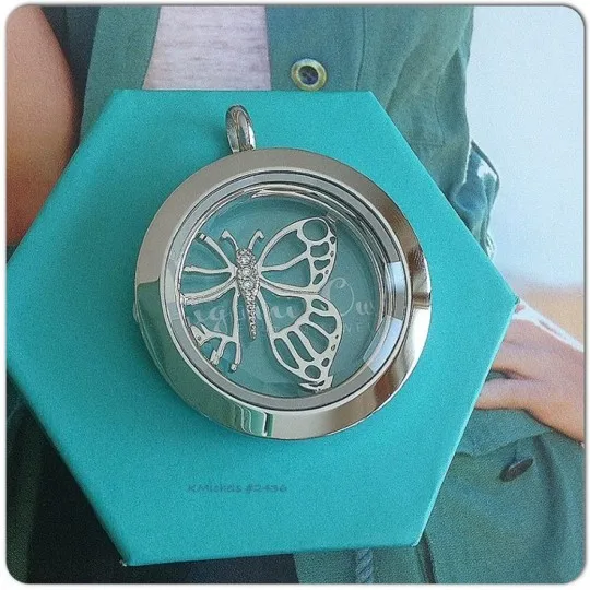 

Vinnie Design Jewelry 30MM Stainless Steel Floating Locket Pendant with Butterfly Window Plate Women Fashion Jewelry