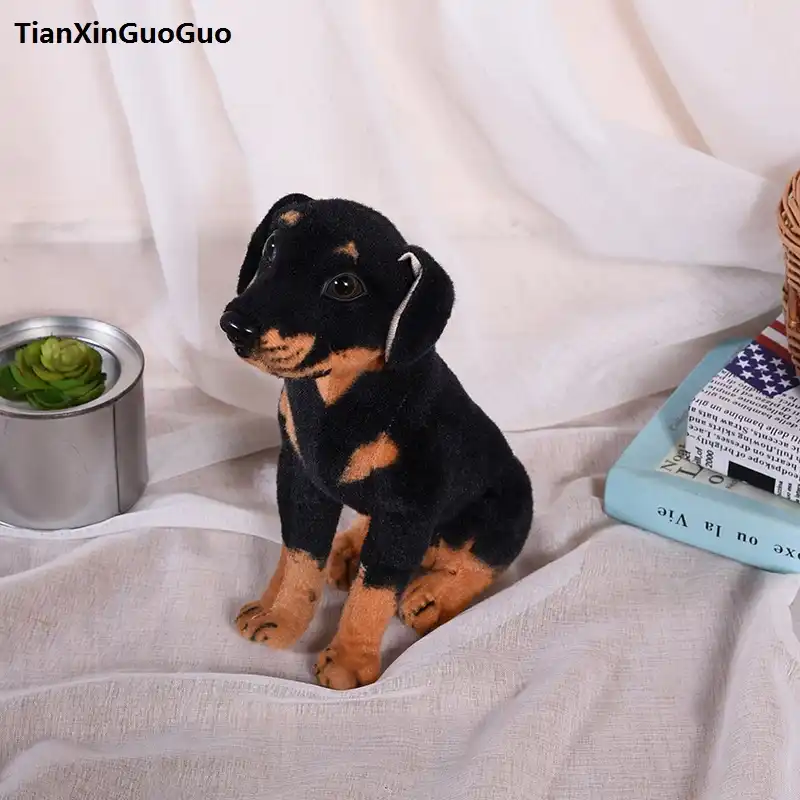 rottweiler plush