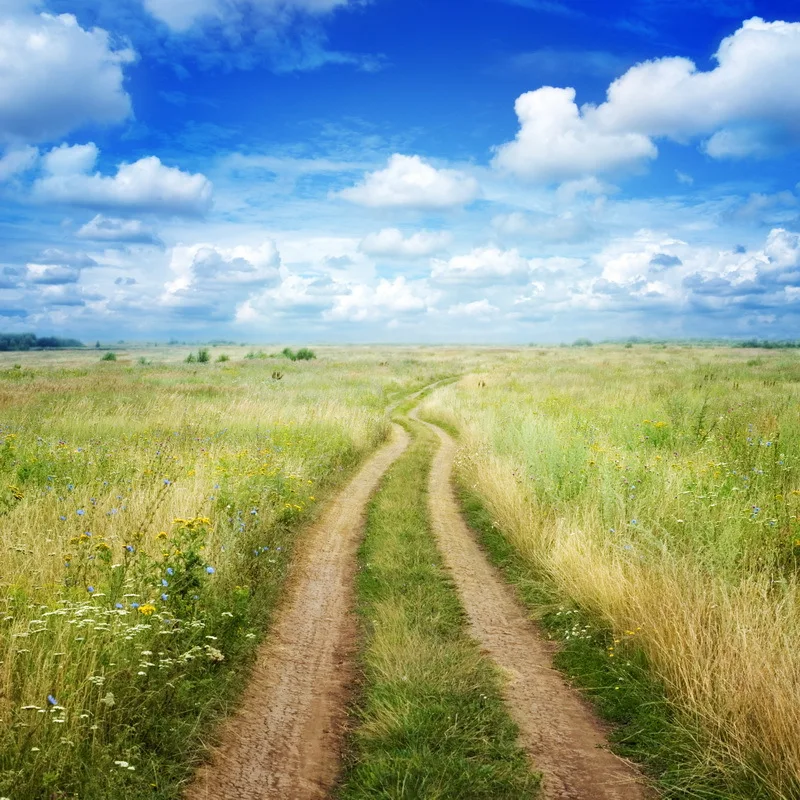 8x8FT Clouds Blue Sky Green Grass Field Mud Path Rural Road Custom