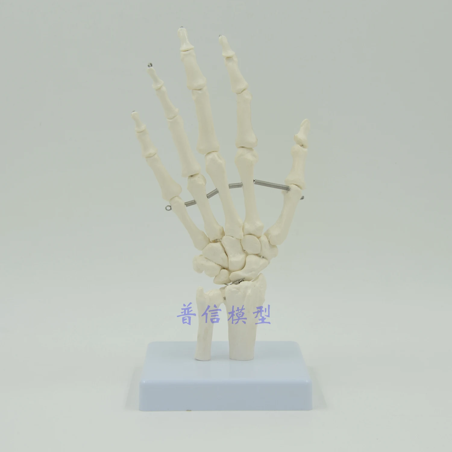 Hand Joint Model Wrist Medical Treatment Ligament Bone School Hospital Educational Supplies | Канцтовары для офиса и дома