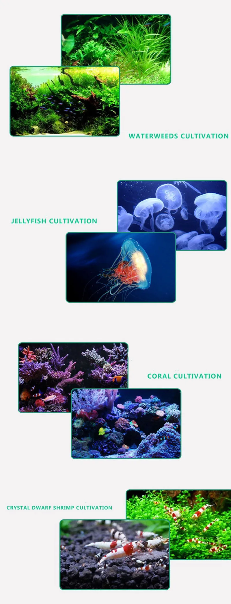 Аквариум охладитель водяной охладитель 1/10HP подходит аквариум менее 160L для коралловых рифов Медузы креветок водные растения