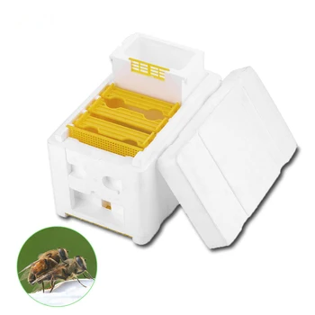 

Beekeeping Tool Hive Box Queen Pollination Beekeeping Harvest Beehive For Bee Mating Copulation Queen Reserve Box