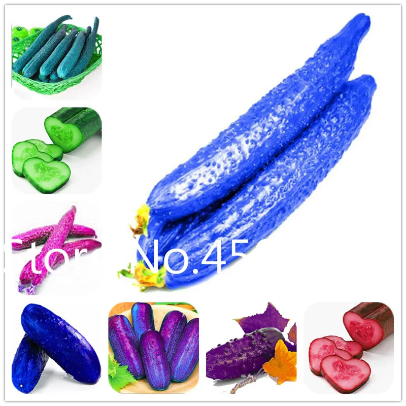 

200 Pcs Rare Color Cucumber SeedsPlant, Polish Variety, Mini Cucumber Vegetable Seedling Organic Non-GMO Seedsfor Home Garden