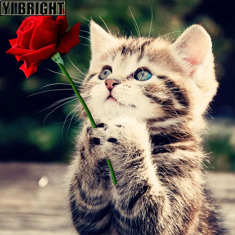 3D Алмазная вышивка YI BRIGHT для творчества крестиком картина милый котенок и розы