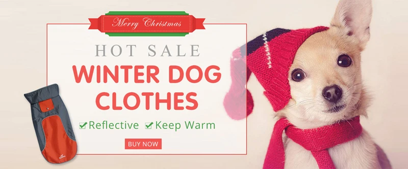 dog clothes