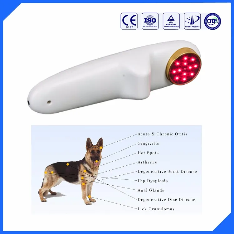 Dog joint pain neck pain laser therapy acupuncture hand held