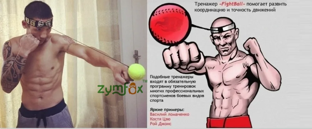 Fight Ball Punching balls
