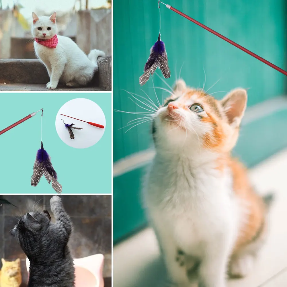 Buy Pecute Pet Dog Bird Feather Wand Cat Toy Kitten