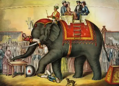 

perfact 36x24 oil painting handpainted on canvas"Performing Elephant