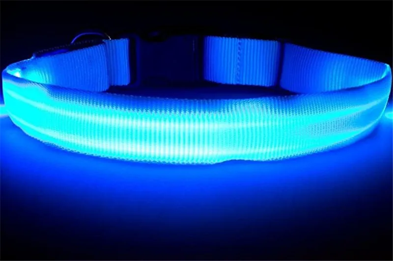 LED dog Collar7