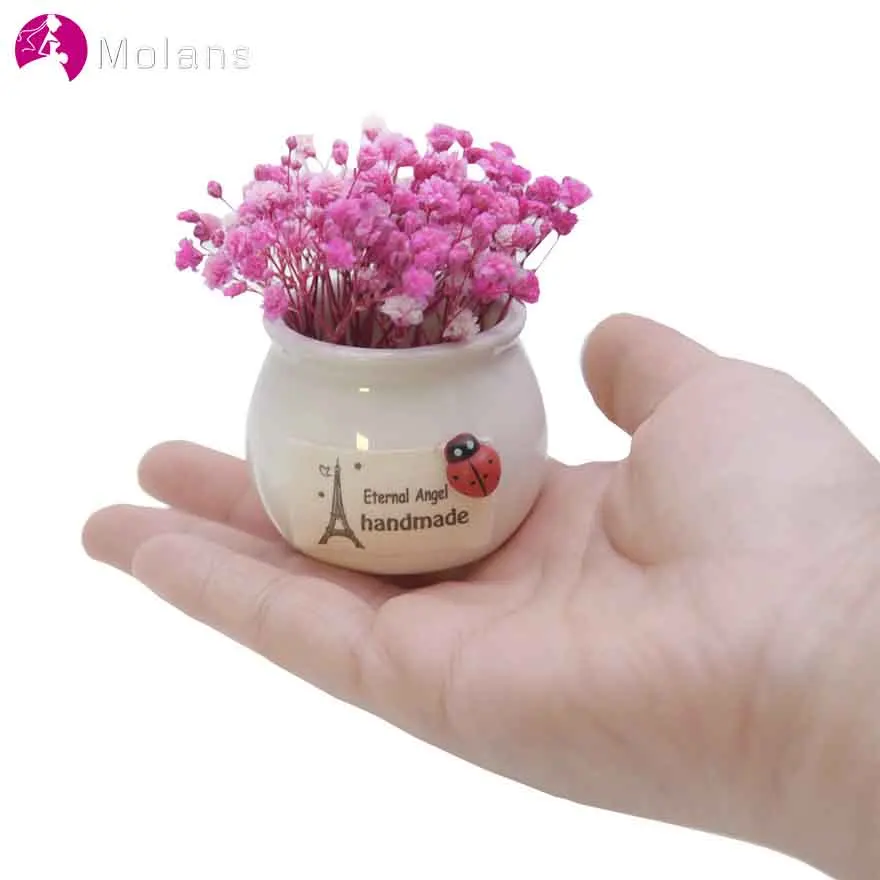 

MOLANS Imitation Eternal Flowers Stars Flowers Mini Vase for Home Decoration Solid Artificial Floral Small Ornaments for Office