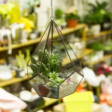 DIY Wall Mount Hanging Five surfaces Diamond Artistic Clear Glass Geometric Terrarium Succulent Moss Plants Flower
