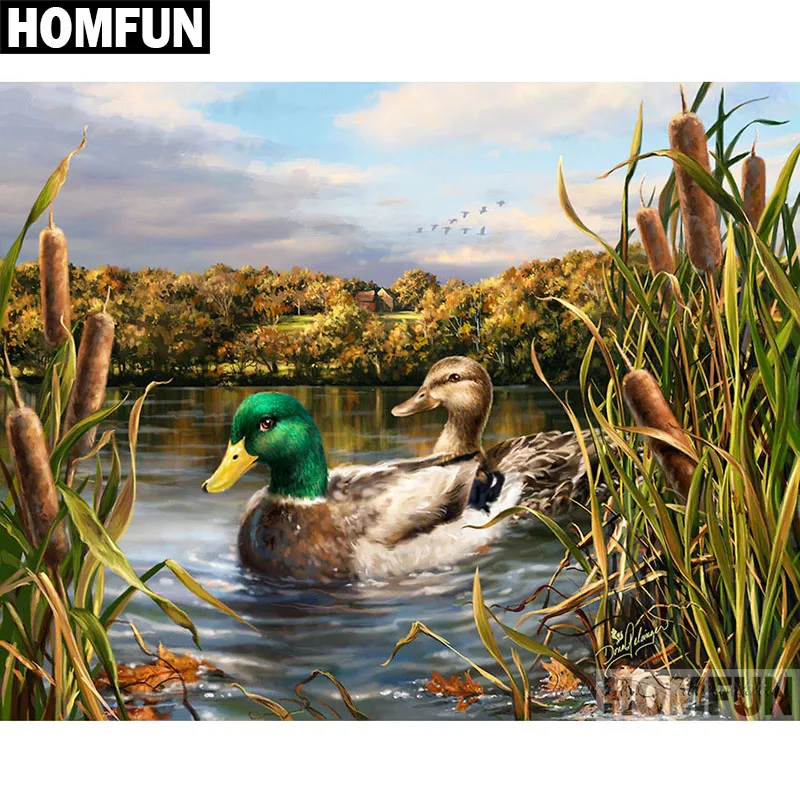 A06381 wild duck