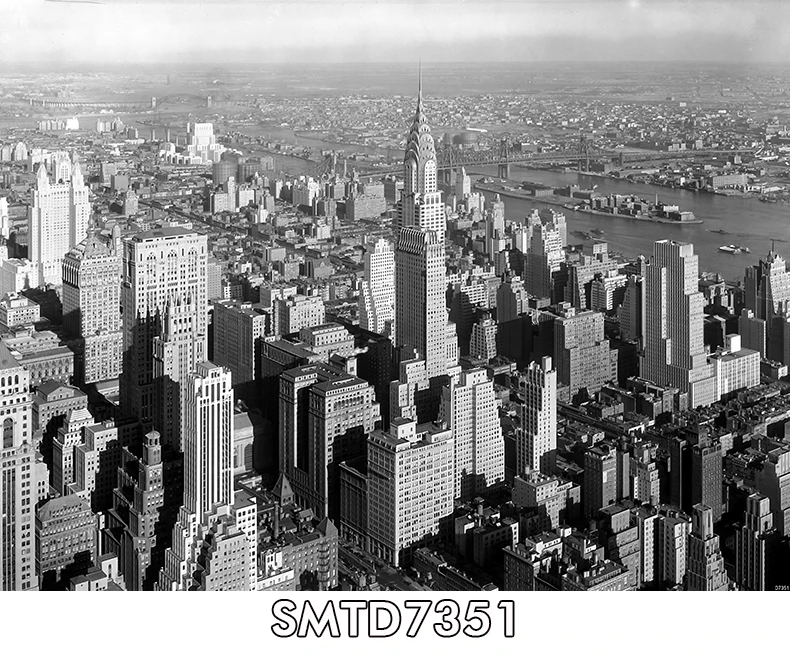 SMTD7351