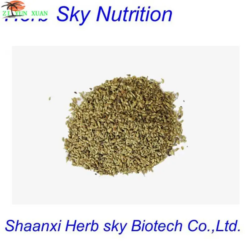 

100% Pure Natural High Quality Sophora Japonica Extract 10:1 600g/lot free shipping