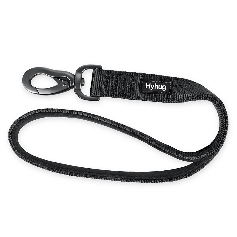 short leash training