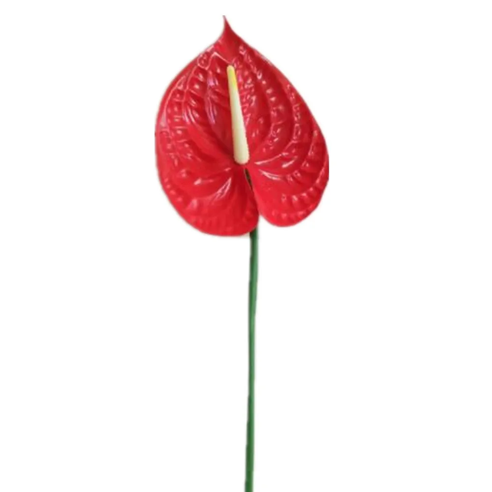 10pcs Plastic Anthurium Flower Artificial Red Lily Flowers For Christmas Party Home Floral Decoration Artificial Dried Flowers Aliexpress
