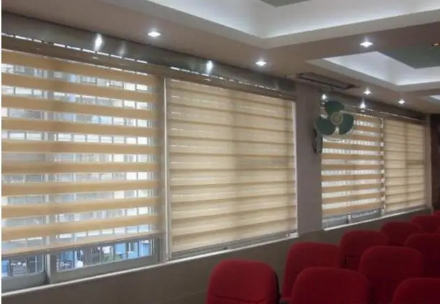 blinds with motor
