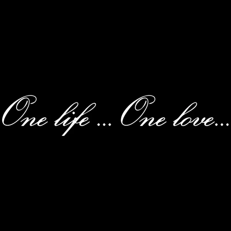 Виниловая наклейка для автомобиля 10 6 см * 58 one life... love... Забавные 3d наклейки и