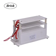 Brisk 220 В генератор озона часть 10 г с керамической пластиной длительный срок службы стиль долговечность двойной лист для химической фабрики 002