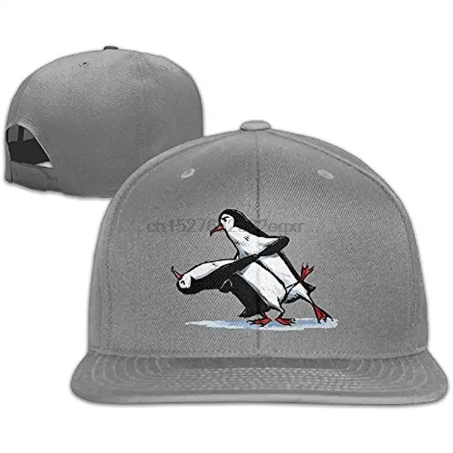 skater flat bill hats