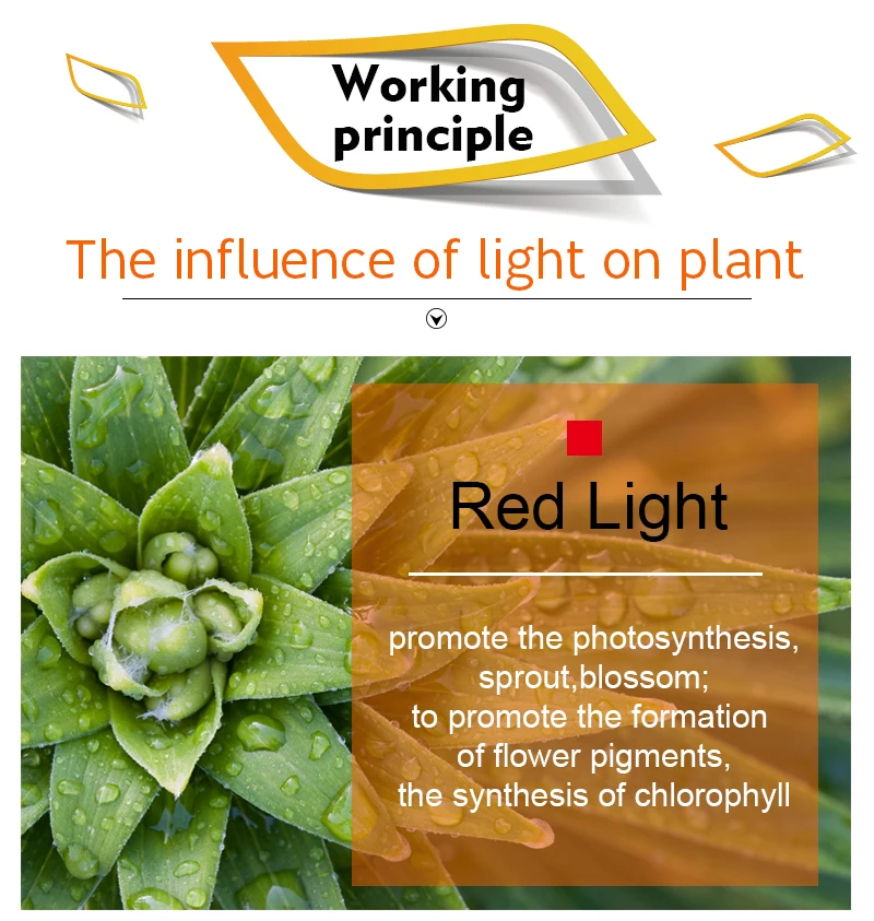 Светодиодный светать полный спектр E27 E14 GU10 MR16 48 60 80 светодиодный s пятна УФ ИК красные, синие для цветочных растений лампа гидропоники