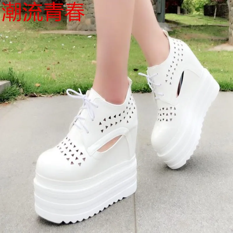 36020190502104355851