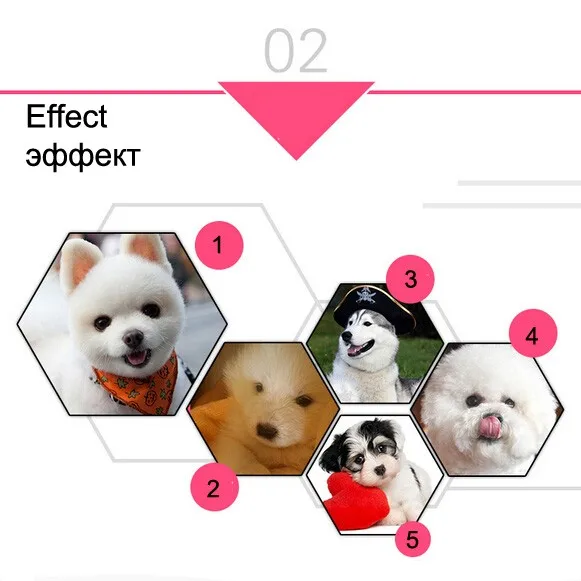 ЕС уход за собакой фен профессиональный Pet фен для волос 2200 Вт высокой мощности Ультра тихий бесступенчатое регулирование скорости супер ветер