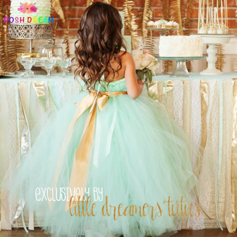 

POSH DREAM Mint Green Flower Girl Dress for Wedding Party Mint Green Gold Sash Birthday Photograph Children Girls Clothing