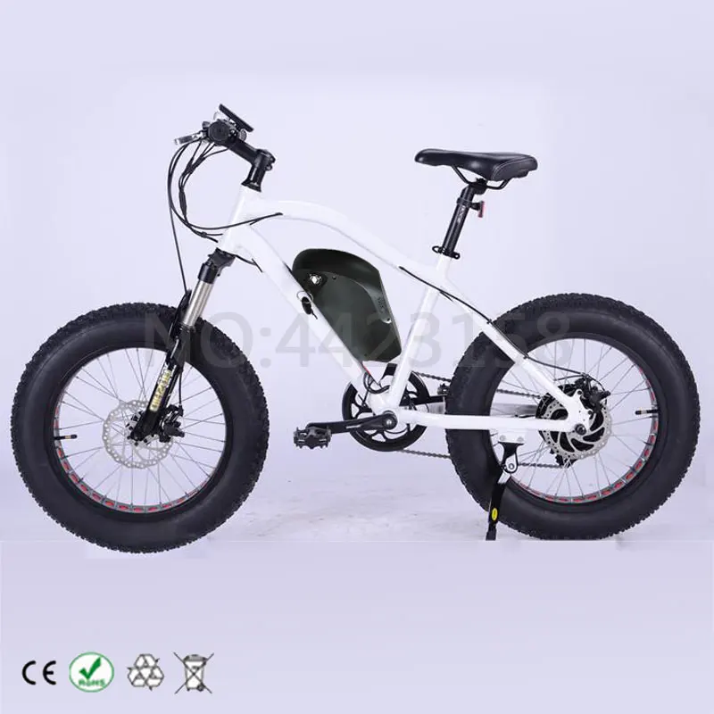 ebike2
