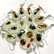 YQTDMY 8 пар настоящий муравей Скорпион ошибка паук смешанные насекомые энтомология Висячие крутые серьги