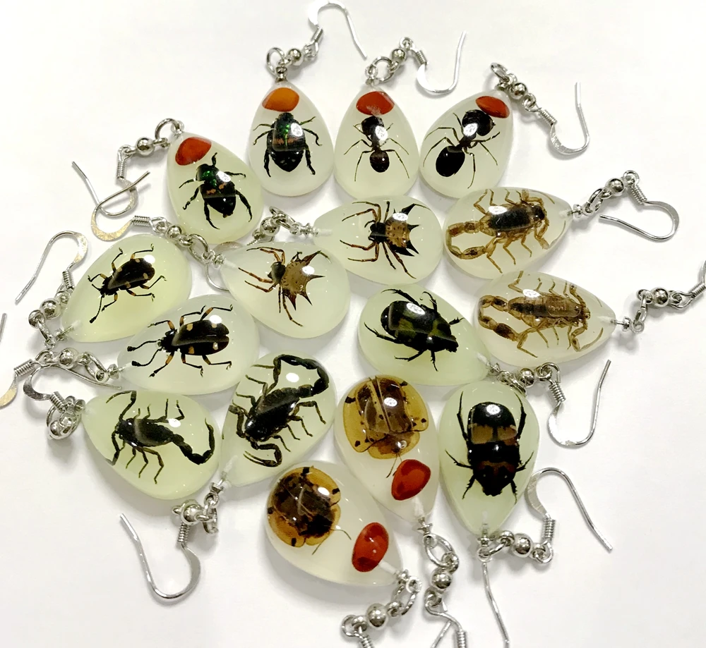 

free shipping YQTDMY 8 Pair Real Ant Scorpion Bug Spider Mixed Insect Entomology Dangle Cool Earrings