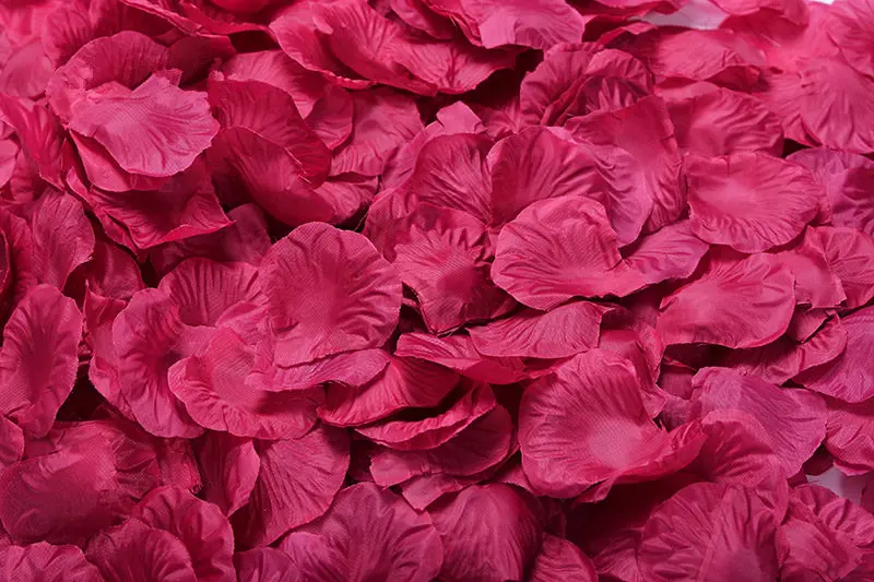 2382-05-10pcs-Purplish-