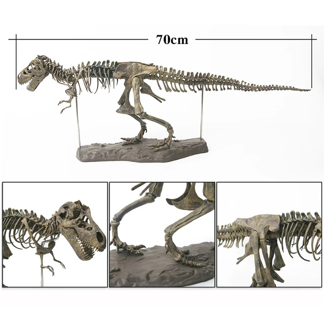 Esqueleto 4d Tiranossauro Rex Grande Dinossauro Para Montar