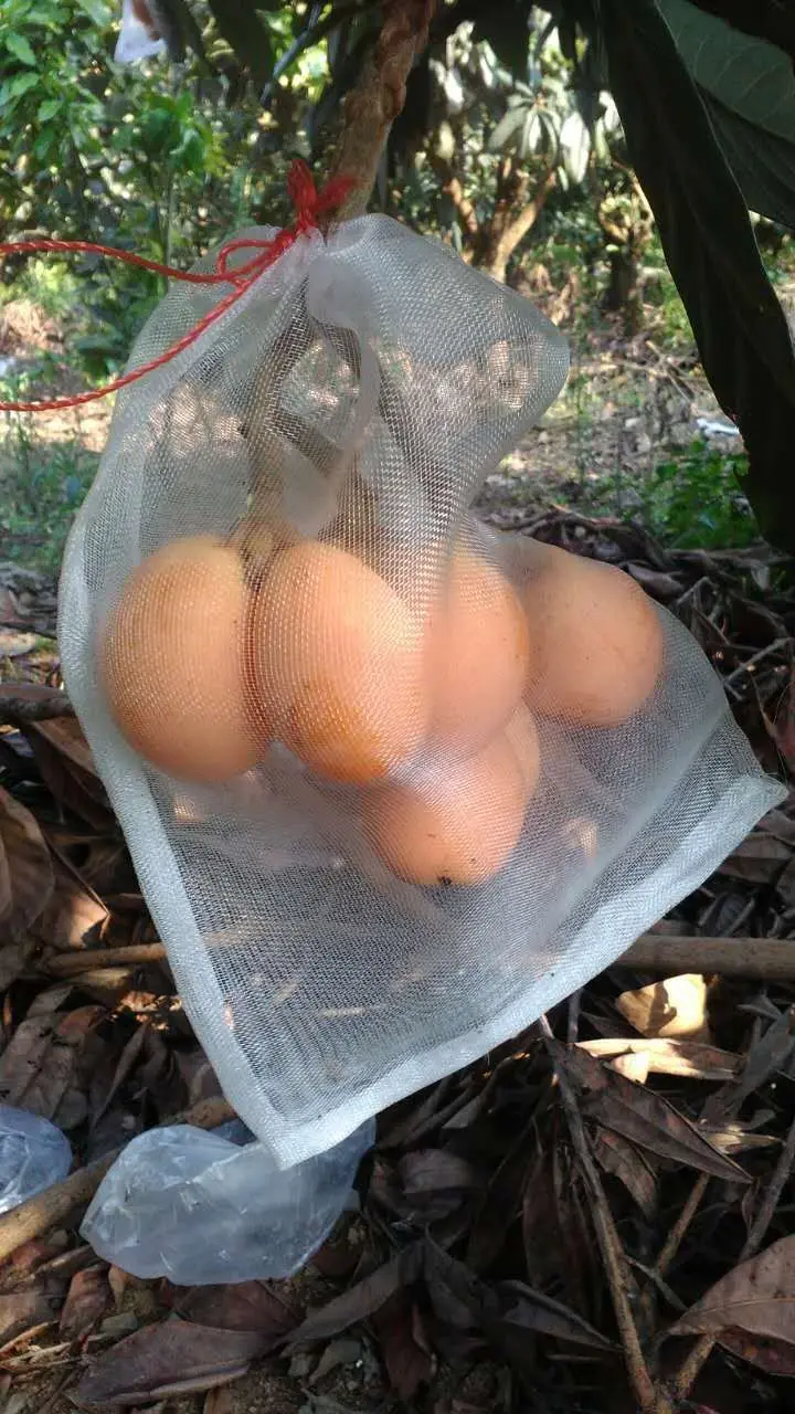 Сетка для защиты от птиц 40 сетка нейлон 25x15 см сетчатый мешок семян замачивания тонкий грейпфрут мешок на заказ питая сумка