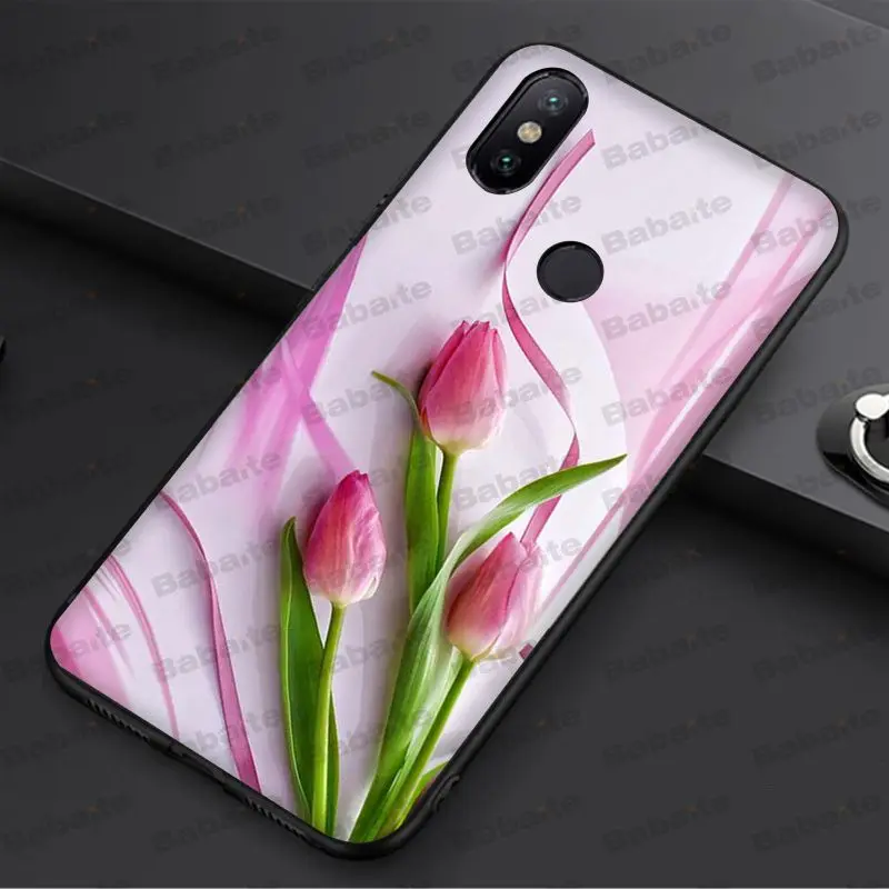 tulip flower 