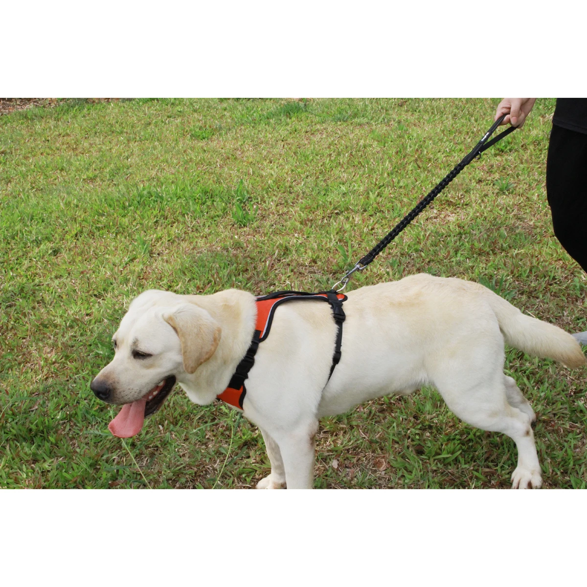 Растяжной поводок для собаки с управлением мягкая ручка эластичная нейлоновая веревка для поводка амортизация для тренировок и прогулок собак