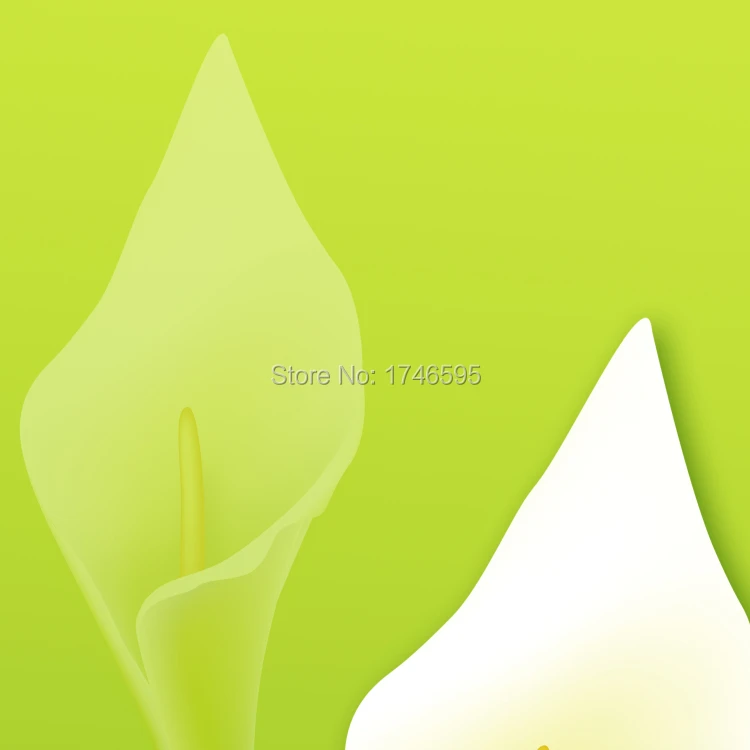 green calla lily-1