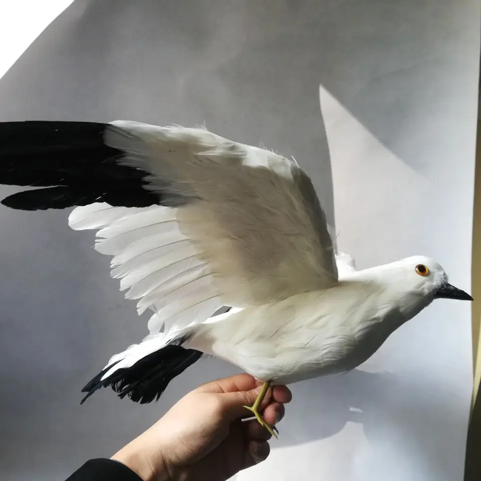 real life Bird feathers seagull Bird large 35x60cm spreading wings seagull,garden decoration filming prop gift h1455 the seagull