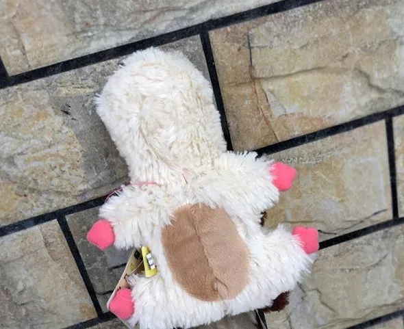 QQ20180418113953