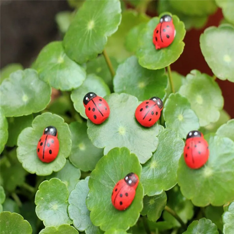 

20Pcs Miniature Decorations Coccinella Septempunctata Resin Crafts DIY Little Garden Animal Decoration Home Decor 9J09
