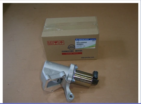 Kyron ssangyong egr