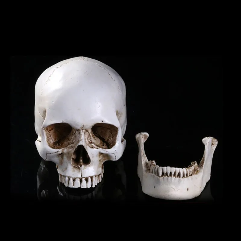 resin statues removable simulation skull halloween decorative home pub decor medical teaching appliances skeleton sculpture - Halloween Statues resin statues removable simulation skull halloween decorative home pub decor medical teaching appliances skeleton sculpture - Halloween Statues